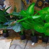 معرض البحراني • تحفيات وهدايا • توصيل طويريج