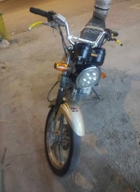 دايون • عظم • أوراق أصولي