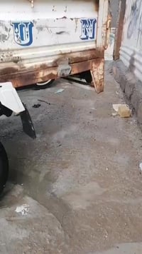 موديل ١٣ • اوراق وكيل • كفاله عامه