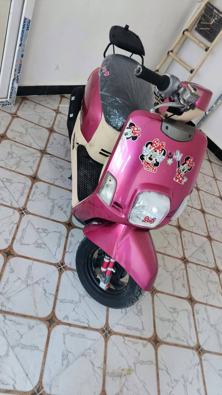 السلام عليكم دراجه بوليس للبيع دراجه نضيفه كلشش ما مفتوحه بوشه 49 دراجه لا تبخير ولا تقيص مكان كربلاء الحر شراي سعر 800وبيه مجالل للشراي ***********
