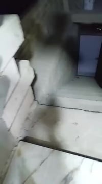 شقة للايجار • حي الأمير الناصرية • غرفتين