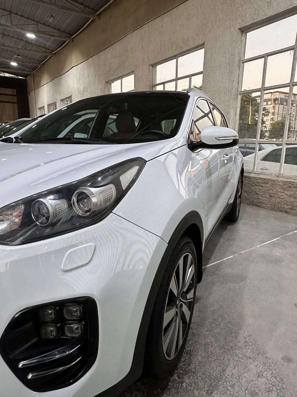 سلام عليكم
سبورتج 2019 خليجي 
فول 
مواصفات ال GT_Line 
محرك 2000 دوش 
كير محرك صدر تبريد كله كفاله 
السياره بيهه مكانين بسيطات حيل مسحوبات bdr 
والدعاميه الخلفيه بيهه صبغ ربعهه 
باقي كفاله
 بغداد /البياع 
***********
