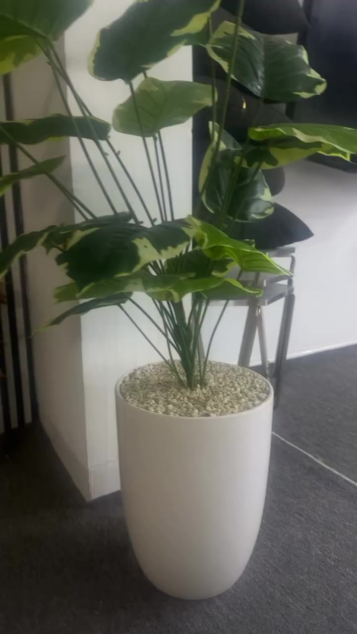 هه ردوكي 25 هه ولير


**إذا كنت صاحب هذا الإعلان وتريد حذفه لأي سبب، رجاءا أرسل رسالة إلى الدعم الفني**