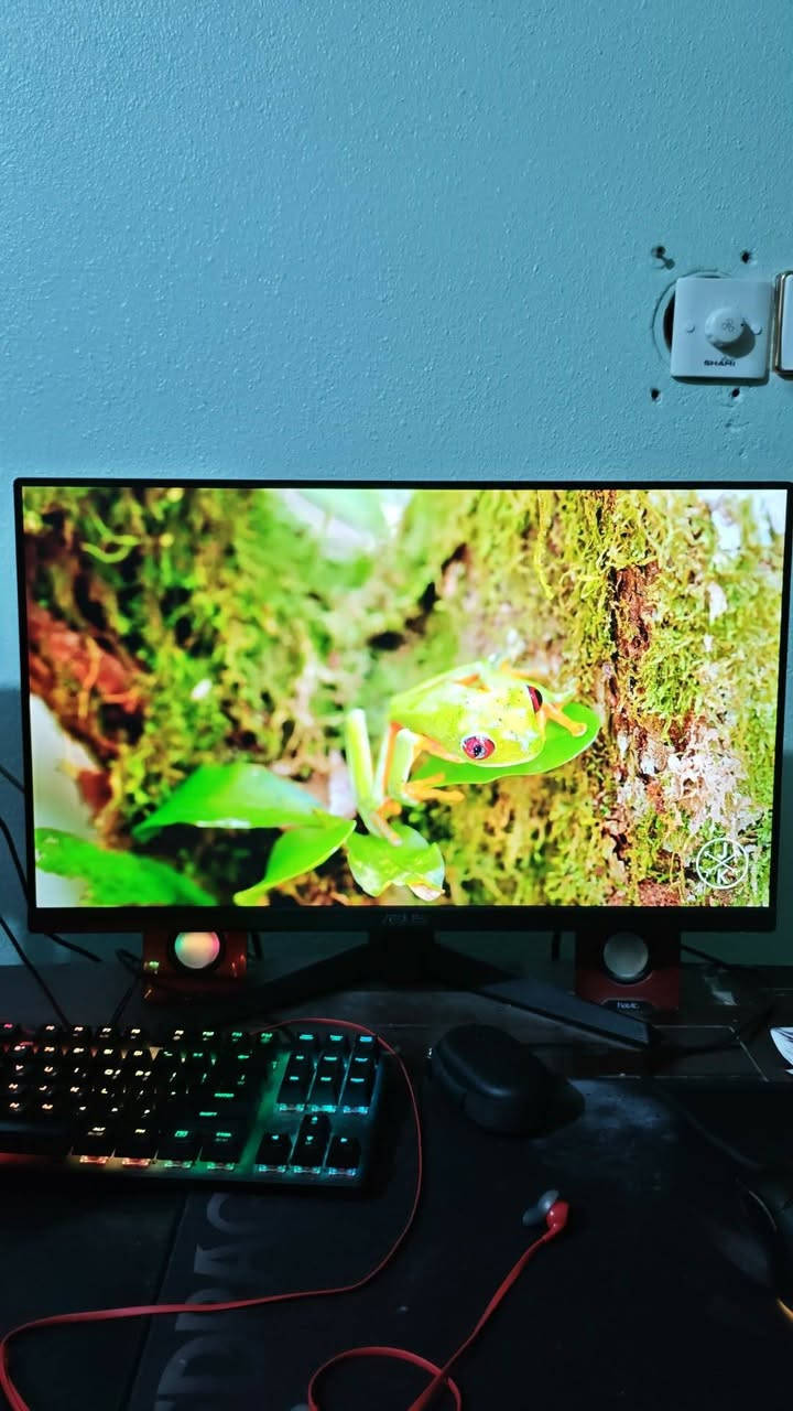 السلام عليكم Asus tuf Gaming
الموديل ASUS VG249Q3A24 asus
FHD
180hz
السعر 175 وبيه مجال بسيط


**إذا كنت صاحب هذا الإعلان وتريد حذفه لأي سبب، رجاءا أرسل رسالة إلى الدعم الفني**