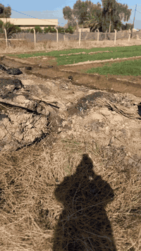 دونم الوجه  ٢٨ متر انزال ٩٠ موقع كلش حلو لاستفسار اتصل  07835080508