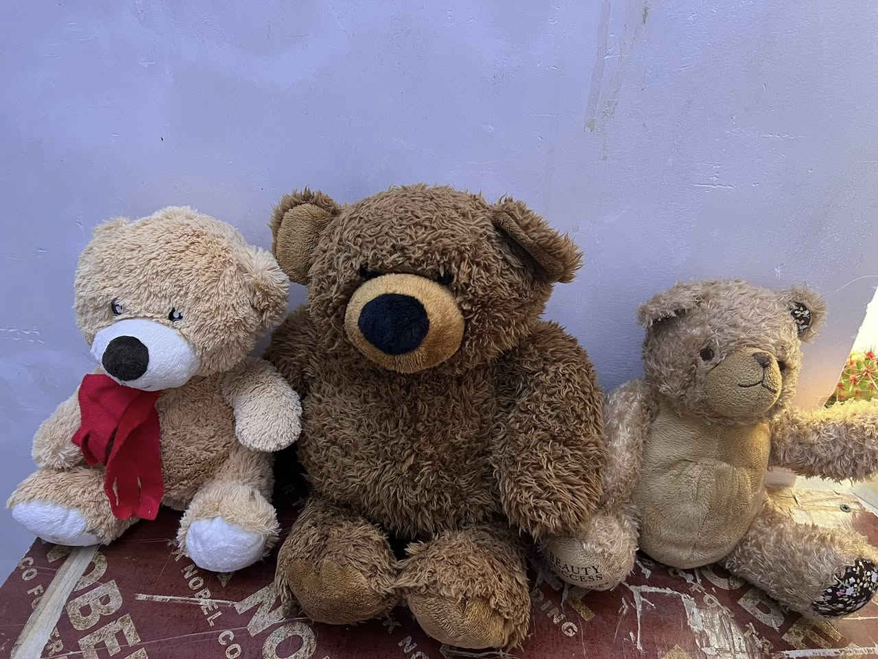 مجموعه العاب سوفت دببه القطعه الف دينار 

توصيل 🚚 3 الاف الى جميع المحافظات 

للحجز واتساب او مراسله الصفحه ***********
