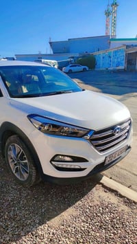 توسان • ٢٠١٨ • رقم أربيل