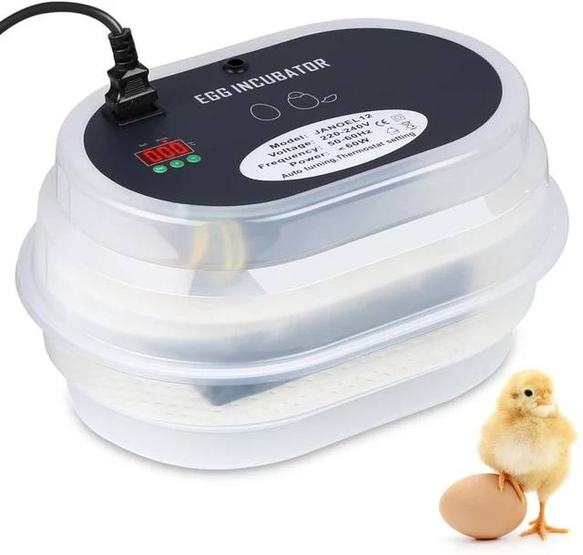 فقاسة  للبيع.  12 بيظة..

المصطفى للاجهزة الألمانية والأمازون ... مراسلة الصفحة
لسعر ،30فقط


**إذا كنت صاحب هذا الإعلان وتريد حذفه لأي سبب، رجاءا أرسل رسالة إلى الدعم الفني**