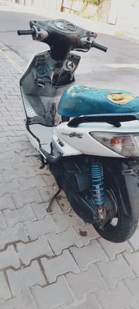 سكنس فحل • نوزل خطين • نضيفة