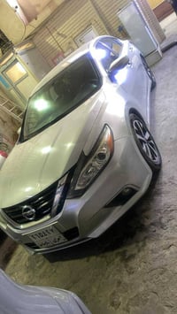 التيما • ٢٠١٨ • اربيل