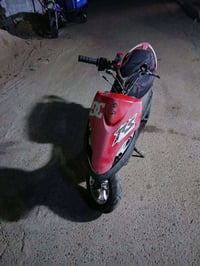 ماكس عدله • بوشه 55 • اوراق