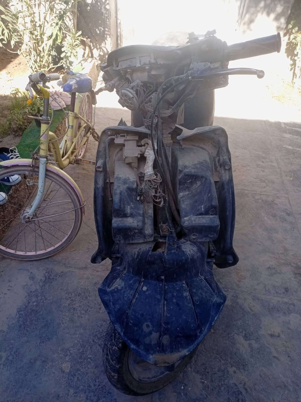 سلام عليكم دولفين كله شغاله مكينه ناعمه اتخبل سواد كامل عوزه كفر وكابريته الدراجه متروكه قفل 125


**إذا كنت صاحب هذا الإعلان وتريد حذفه لأي سبب، رجاءا أرسل رسالة إلى الدعم الفني**