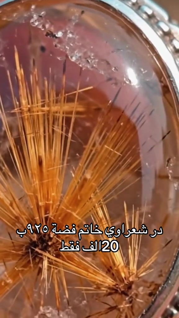 خاتم در من النوادر والبركه


**إذا كنت صاحب هذا الإعلان وتريد حذفه لأي سبب، رجاءا أرسل رسالة إلى الدعم الفني**