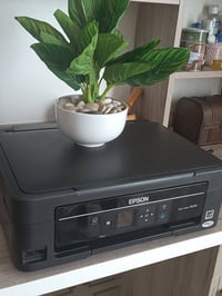 إبسون sx230 • نظيفة • ألوان غير واضحة