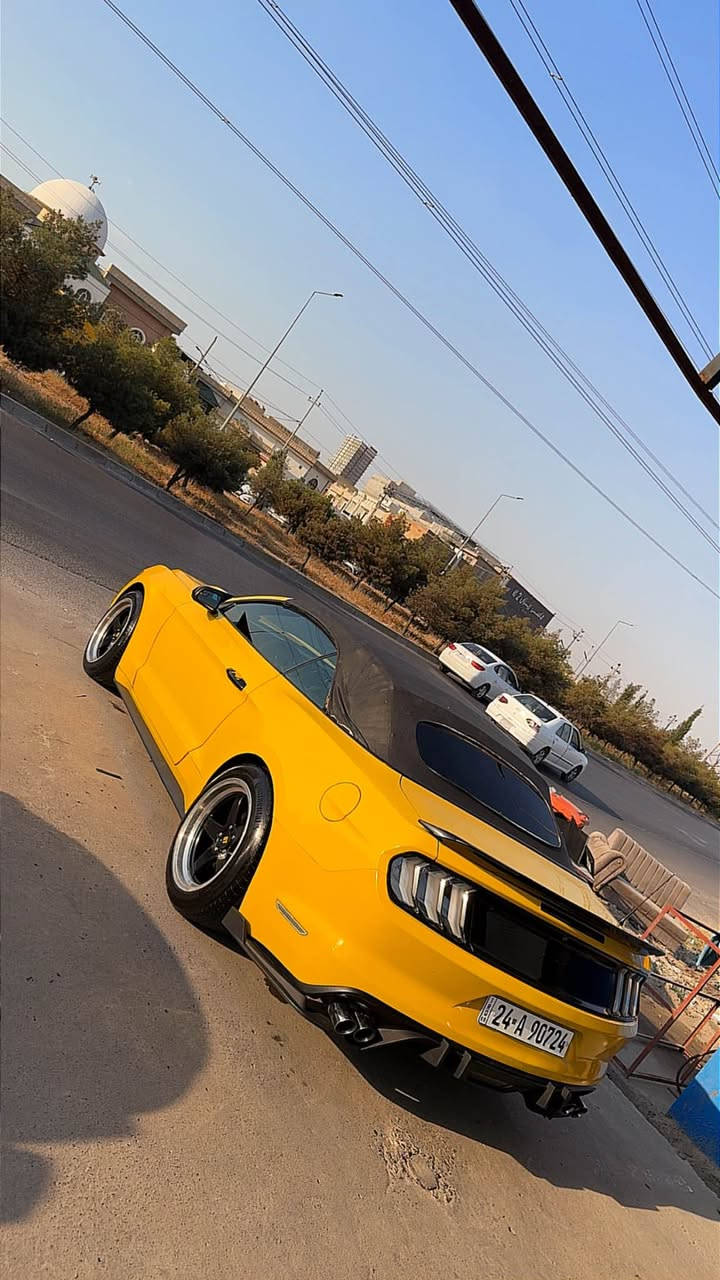 mustang V6
٦ پستن موديل ٢٠١٥ 
٢ پارچه ي بوياغه
سياره كه كراوه به فول مواسه فات 
شاشه synce 3 - گێچ الوان - بەسمە -شەغال- ٤ مۆدی لێخورین - سوکان ٣ مۆد - کوشن کارەبا- بەگلایت کلێر-X pipe- داخلی کامل کراوە بە کاربۆن فایبەر - دفیوزەر و زۆر بابەتی تر  
سیارەکە کامل سێرڤز کراوە هه تا به ردو صالنصه كانيشي بيلاديه بەناوی خۆمە و رەقەم و سەنەوی تازەیە 500$ غەرامەی لەسەرە دوای معامەلە دەی گەرێنمەوە گێر و مەکینە و ئەکسل و کارەبای بەشەرت 
***********

٦سلندر ٢٠١٥
٢ قطع صبغ 
فول مواسفات 
شاشه كبيره synce3-كيج تغير لون- بصمه-تشغيل عن بعد-٤ مود قيادة-ستيرن٣مود-كشن كهرباي-بكلايتات كلير اصلي- دواخل كاربون فايبر- X pipe- 
ماشاءالله سياره حيل نضيف و حتا سرفز كامل من بلاكات و نوزل دهن كير و اكسل ومحرك كل جديد حتا حجر اكزوز بلادي 
سياره بااسمي تحويل ثاني يوم او عليها ٥٠٠$ غرامه
مكان سياره اربيل 
*********** أربيل, العراق
