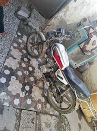 سفانا • ٢٠٢٠ • اوارق اصلية