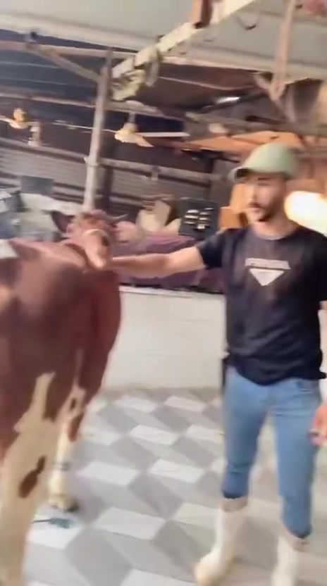 تعلن قصابة علي عادل الجبوري 
عن بيع الحوم عجل شرح او بلعظم وغنم وتجهيز كافة المناسبات ذبح كل يوم اب يومه درجه اولى 
زورونا ليست الوحيدون لكن الأفضل 
في سوق مجمع حطين 
للتواصل
***********
يم علي الجبوري

