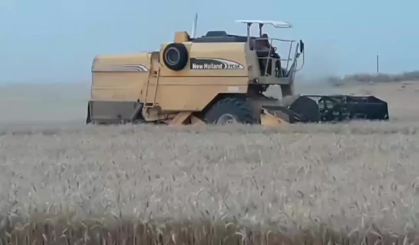 #حاصده للبيع موديل 2003 كتاب شريكه
للستفسار اتصل زين***********
اسيا***********
ادمن وافق رجائن
