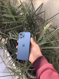 ايفون 12 برو ماكس ذاكرة 512 بطارية 100 مبدلة🔋 شاشة مبدلة كاميره الثالث...