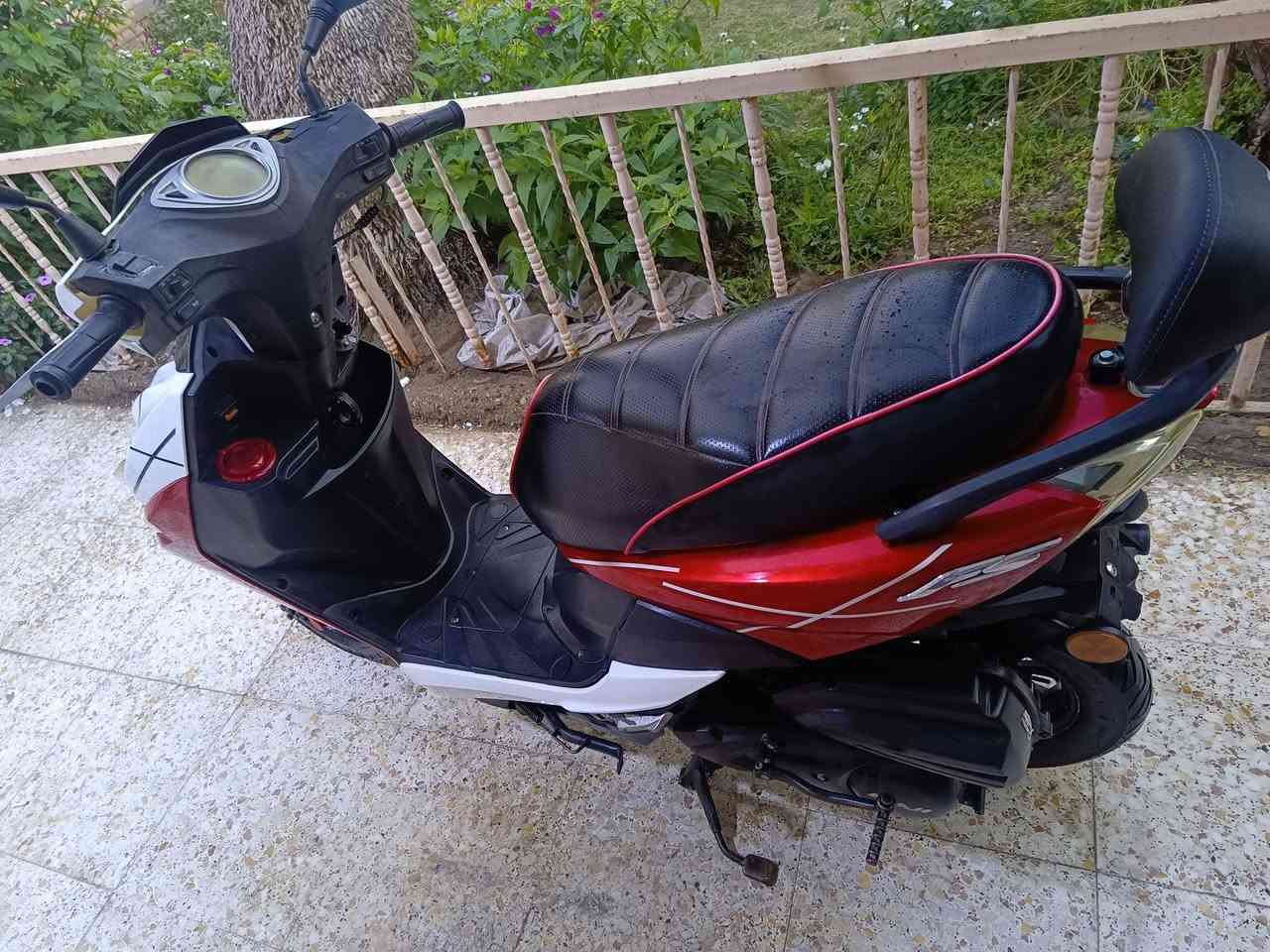 دراجة fs للبيع موديل 2022
دارجة نكرة سلف 🛵🛵🛵🛵🛵
كهربائياتة شغالة دراجة حلوة و نضيفة 
مكاني كوت / داموك
السعر على الخاص او الاتصال على الرقم *********** واتساب 
عمي والله ابيع للشراي صدك مو يجيني بياع شراي و يكسر بسعرة رجاء ودراجة حلوة و نضيفة على ايدي مال جناي و سعرة مناسب و بيكم خير و تدللون
