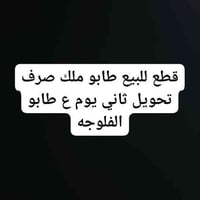 الفلوجه الصقلاويه • ٢٥٠م • طابو ملك صرف