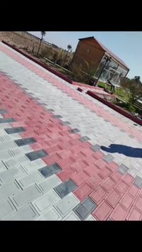 مقرنص • الشاهين • بغداد