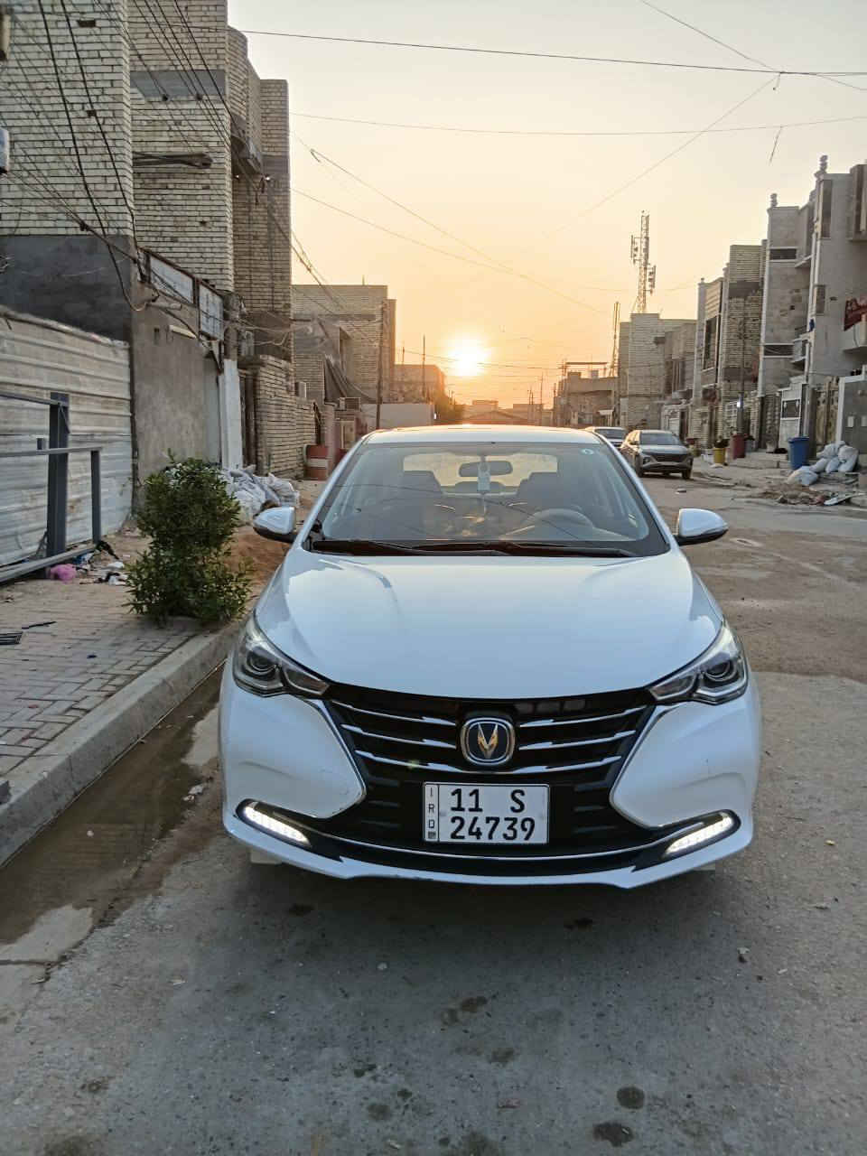 شانجان السفن 24 ريدهة 95وبيهة مجال ***********
