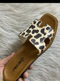 بلاش • تصفية • توصيل