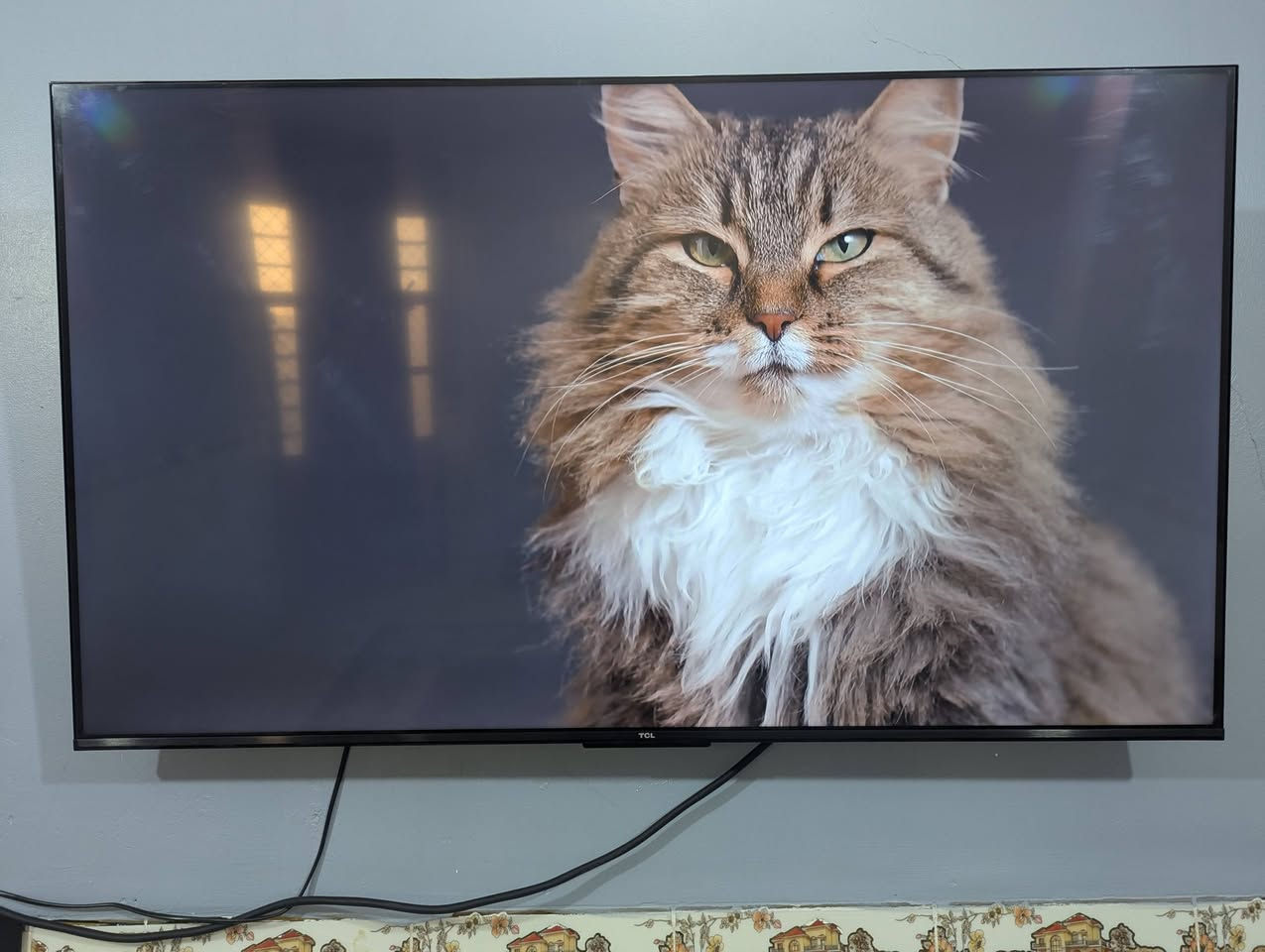 سلام عليكم شاشه تي سي ال حجم 55 فوركي حقيقي الوان تخبل صوت استريو دولبي اتمس صوت استريو مضخم نضامه كوكل تيفي ستلايت دخلي ريمونت ناطق  شاشه لوك مكفوله من تصليح شي نضافه فول مكاني بغداد وره سيطرت الشعب رقمي ***********
