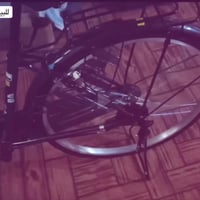 باسكل • فيلي • موديل ٢١