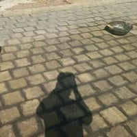 خلفه فرشي • شغل مهندس • كربلاء