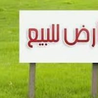 طابو ملكي • 240م • خلف كلية الحياة