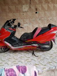 فورزا • ابو صخير المعسكر