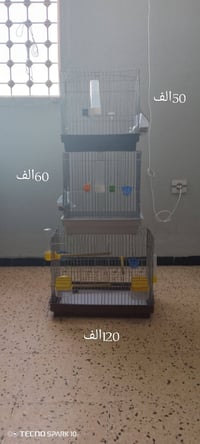 صغيرة • متوسطة • كوبلاج