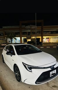 كورلا • ٢٠٢٤ • رقم اربيل