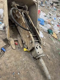 للبيع نقار آلف دوسان 07826902247