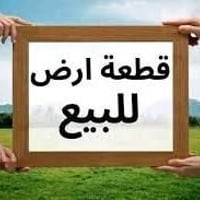 شارع فلسطين • ١٦٢.٥م • واجهة ٥م