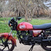 دايون نفخ • أوراق اصلية • كربلاء البراهمية