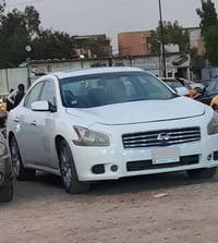 ماكسيما • ٢٠٠٩ • رقم بغداد