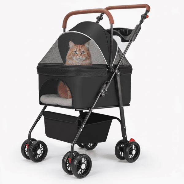 متوفر توصيل 🧣


**إذا كنت صاحب هذا الإعلان وتريد حذفه لأي سبب، رجاءا أرسل رسالة إلى الدعم الفني**