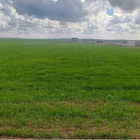 منشأجابر • ٣ دوانم • سند ٢٥