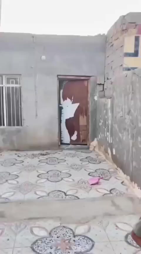 بيت زراعي للبيع
غرفتين ومطبخ وصحيات  
يم سيد ماحي
قريب ع تبليط 
سعره 17
وبي مجال الشراي /***********
