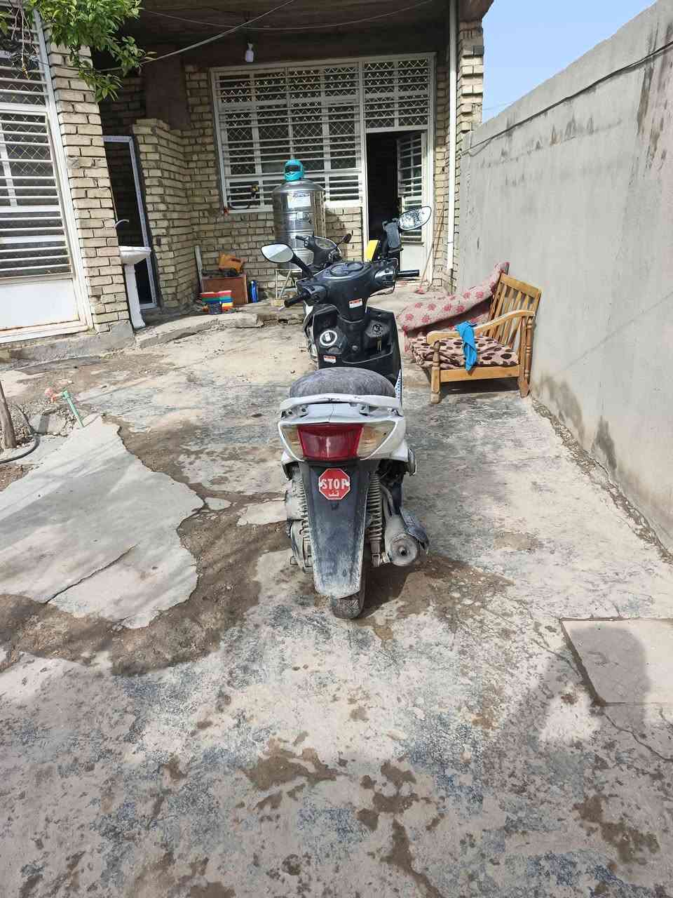 سلام وعليكم سكنس فحل للبيع شغاله نكره بكل وكت اشاير دبل اشاره كلهه شغالي *********** المكان بغداد محموديه
