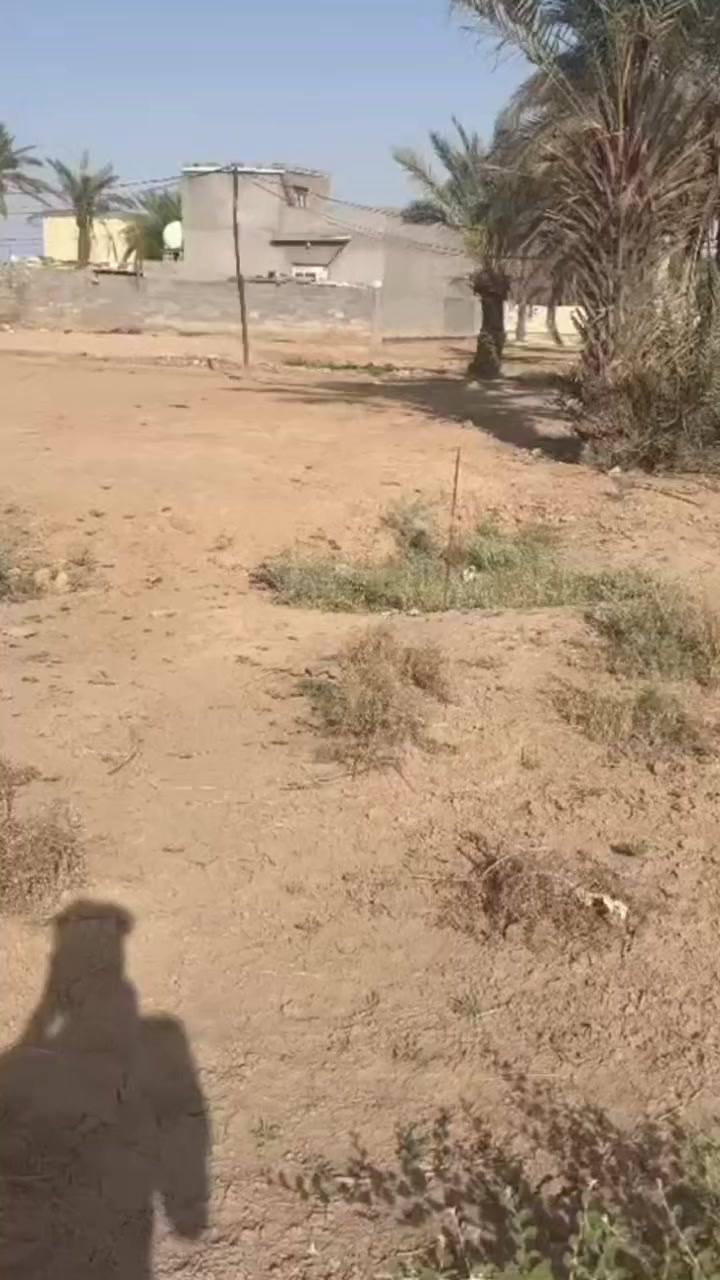 سلام عليكم قطعه ارض للبيع مساحه 150متر نزال 24العرض مالهه6 عنوان حفريه خلف مطعم زيتون اتصل على هذا الرقم ***********
السعر 8مليون
