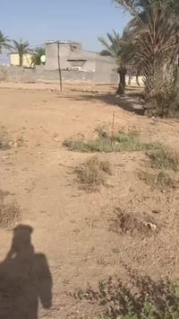 حفريه خلف مطعم زيتون • ١٥٠م • عرض ٦م