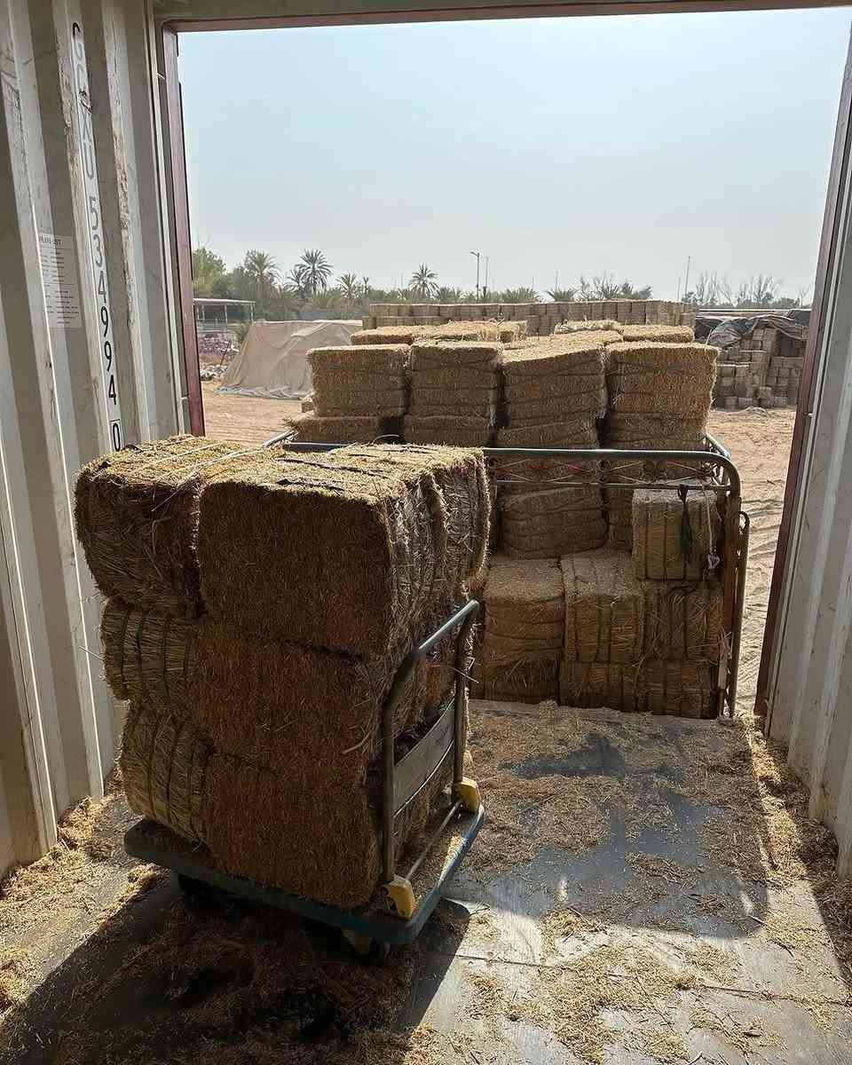 توصيل لجميع المحافظات موجود نقليات تواصل واتساب فقط فيس مامتواجد ***********
