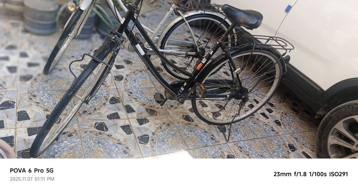 للبيع ب١٠٠ قفل حجم٢٧ مديل١٨ سانتوس
المكان شطره-مشتل-قرب مدرسه بغداد/كلية التربيه للبنات/مركز عين الشمس
الشراي راسلني واتساب ***********
