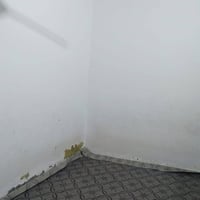 حي الشهداء • ١١٠م • غرفتين