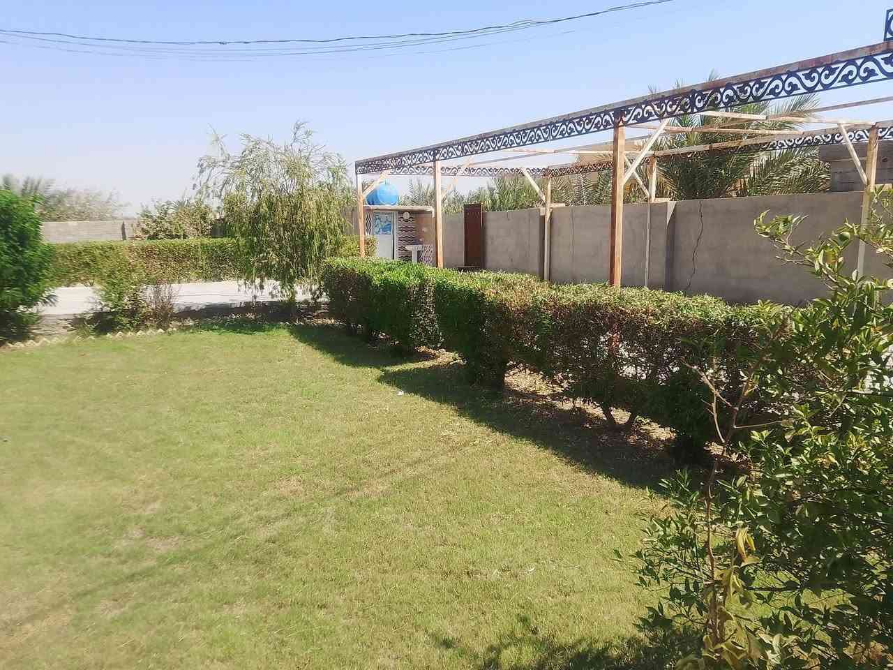 يتاليوسفية معمل زينب شارع وزير يوجد بيت يجار متوفر ماء وكهرباء وسحب ومادرس وتبليط لباب لبيت***********
