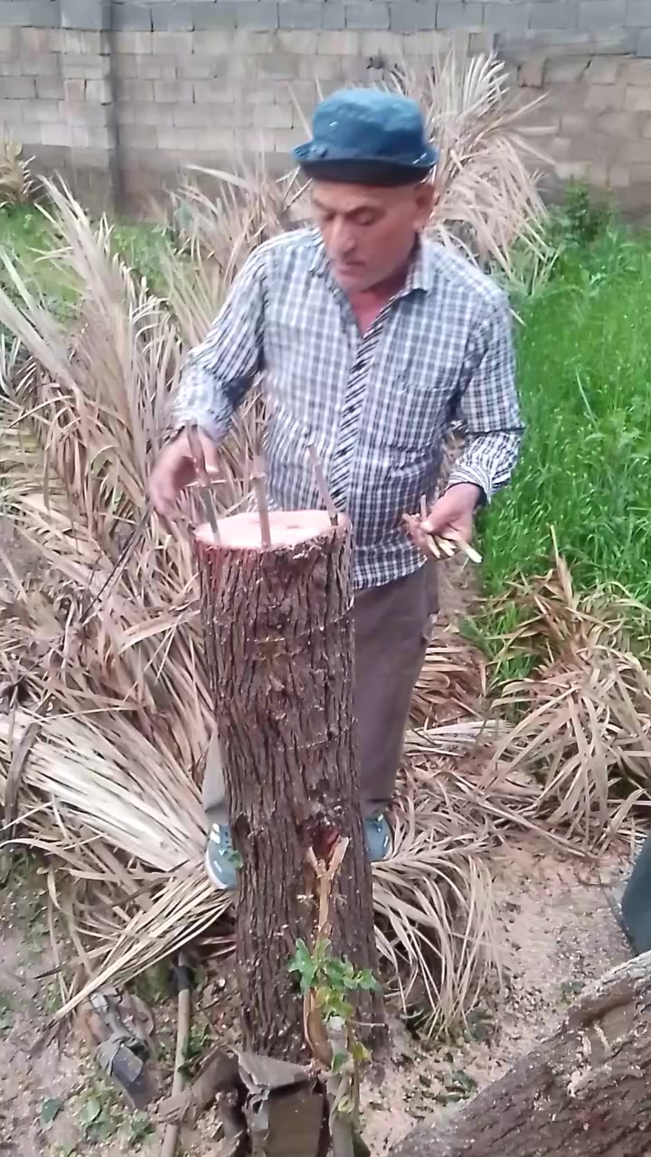 من محافظة ديالى قرية الأسود اخوكم حاتم العبيدي لتطعيم نبك و كافة الحمظيات وبيع شتلات نبك مطعمه نوعيات ممتازة تواصل ***********
